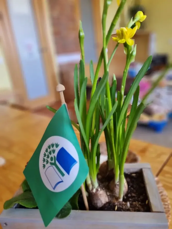 Ekoskolas Zaļais karodziņš grupas telpā pie narcisēm