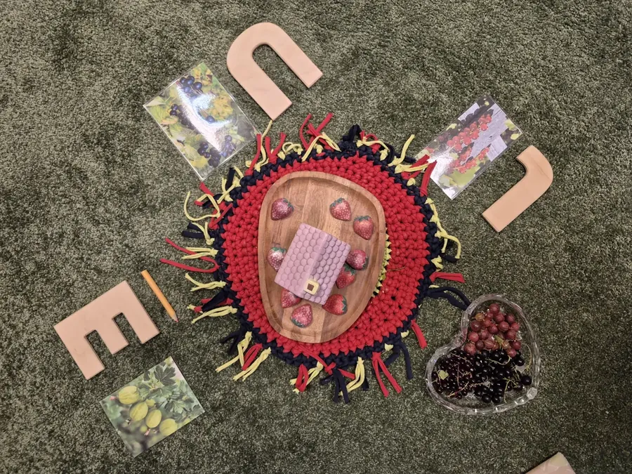 Dabas mandala no ziediem, sēklām un lapām