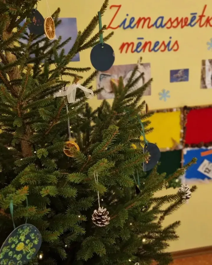 Ziemassvētku egle ar pašu darinātiem rotājumiem